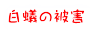 白蟻の被害