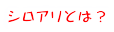 シロアリとは？